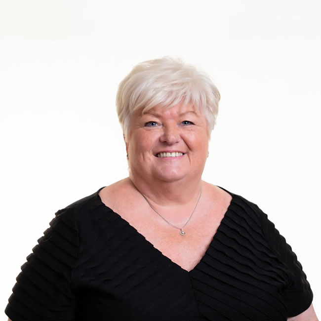 Professional Service